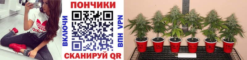 Марихуана семена KRAKEN онион Кораблино как найти закладки